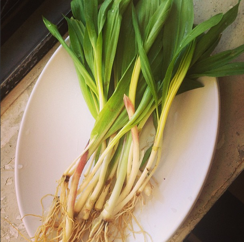 ramps.png